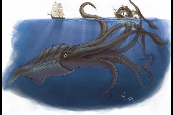 Kraken даркнет переходник