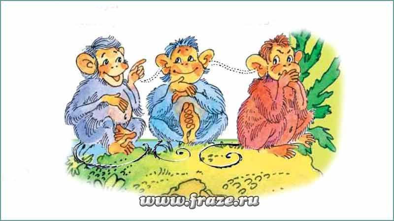 Почему не заходит на кракен